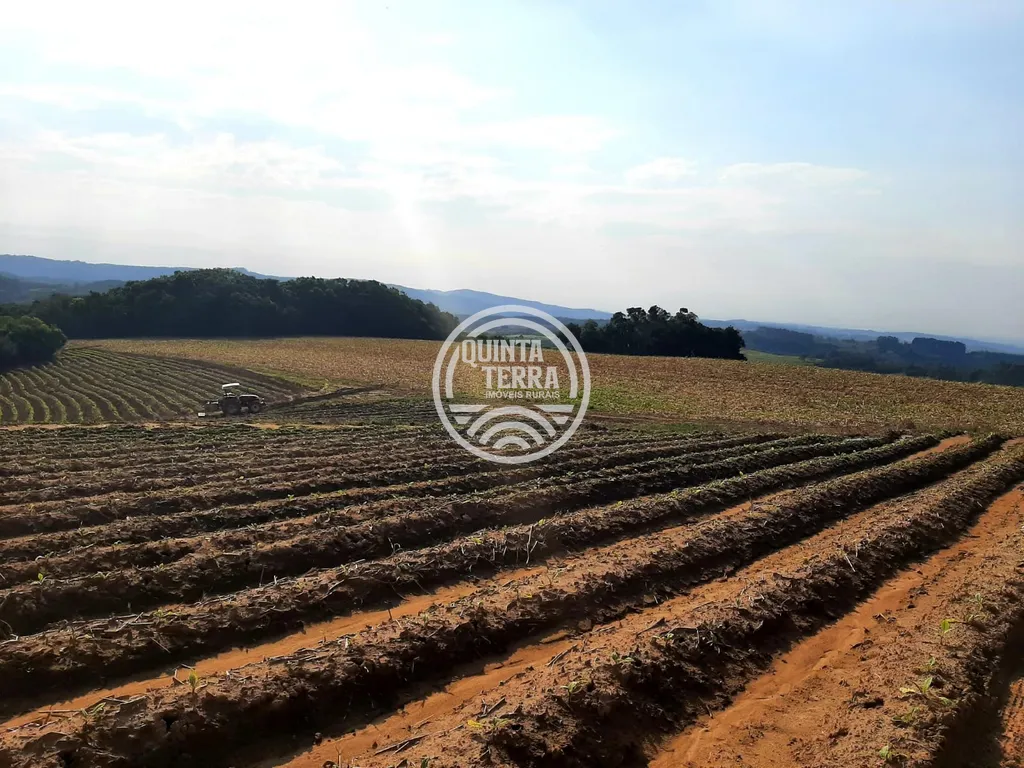 Área à Venda com 12ha - foto 6