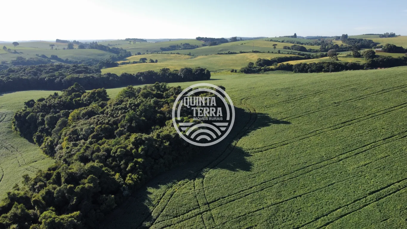 Área à Venda com 236ha - foto 3
