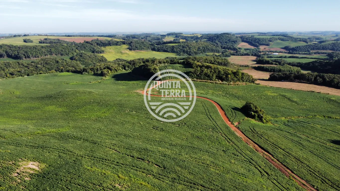 Área à Venda com 236ha - foto 2
