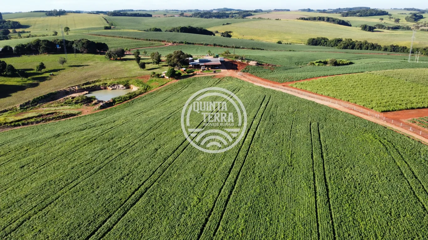 Área à Venda com 236ha - foto 8