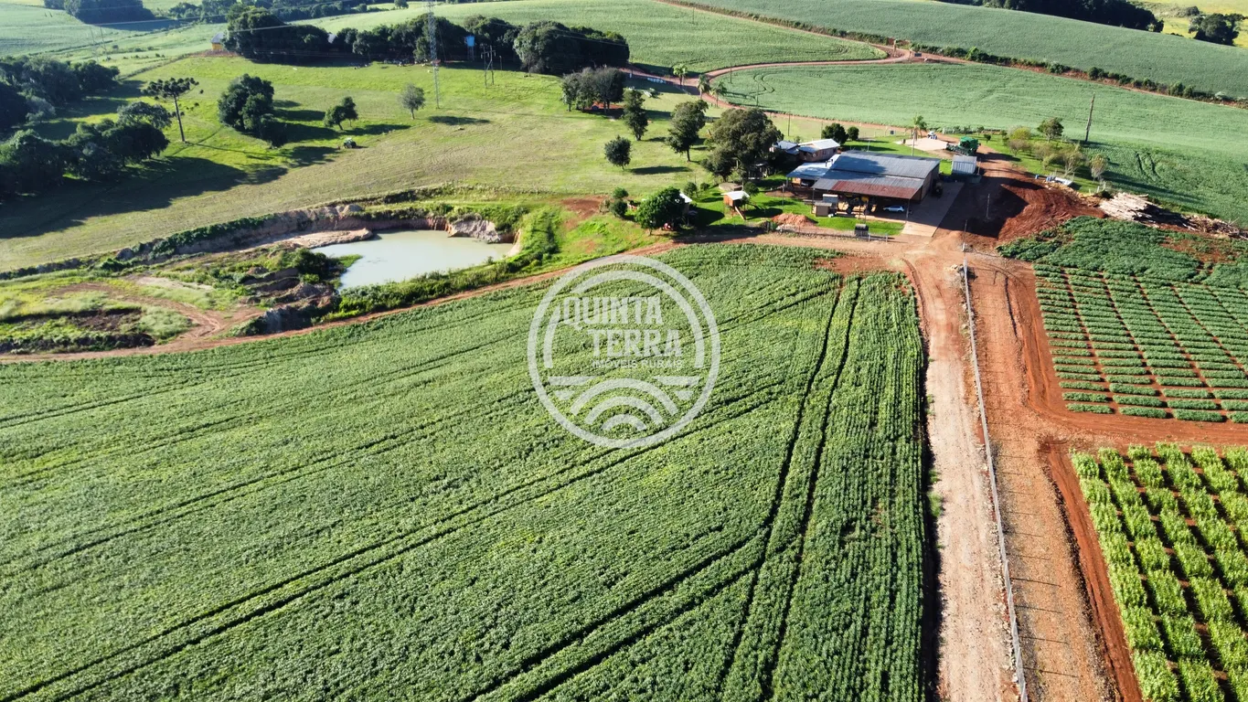 Área à Venda com 236ha - foto 4