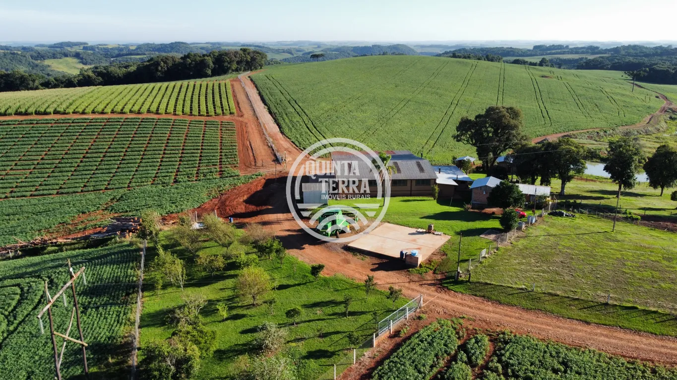 Área à Venda com 236ha - foto 1
