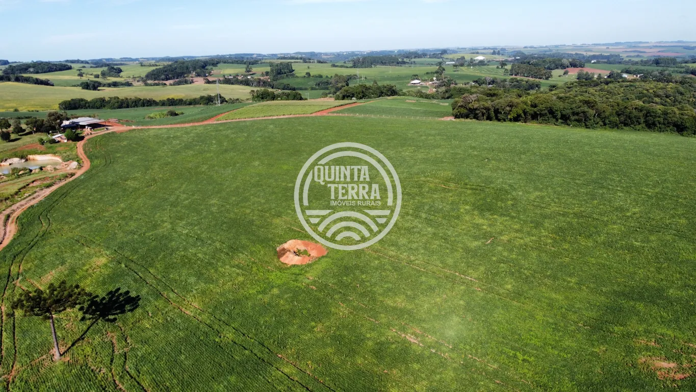 Área à Venda com 236ha - foto 10