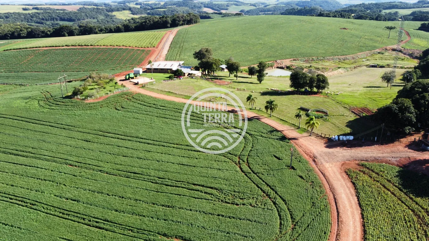 Área à Venda com 236ha - foto 16