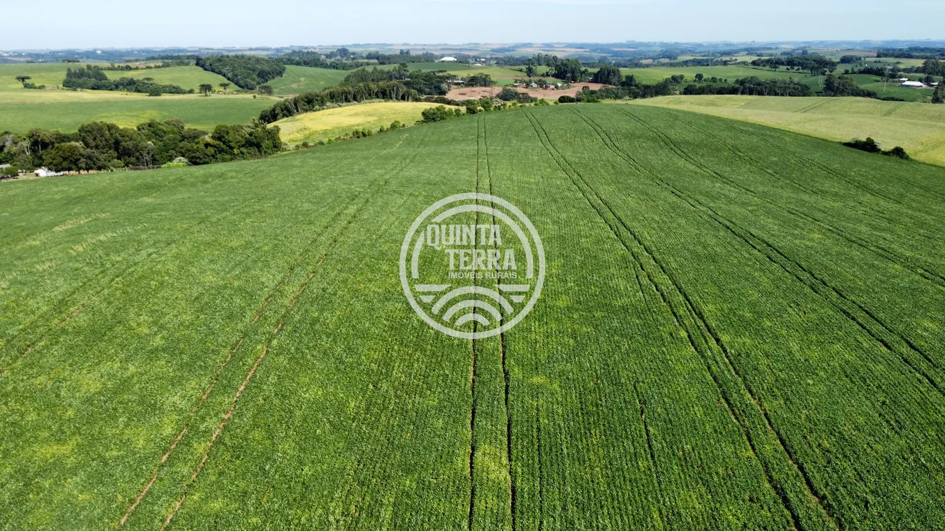 Área à Venda com 236ha - foto 20