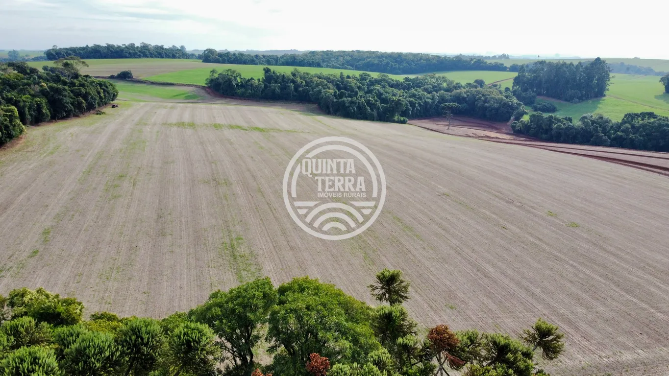 Área à Venda com 43ha - foto 3