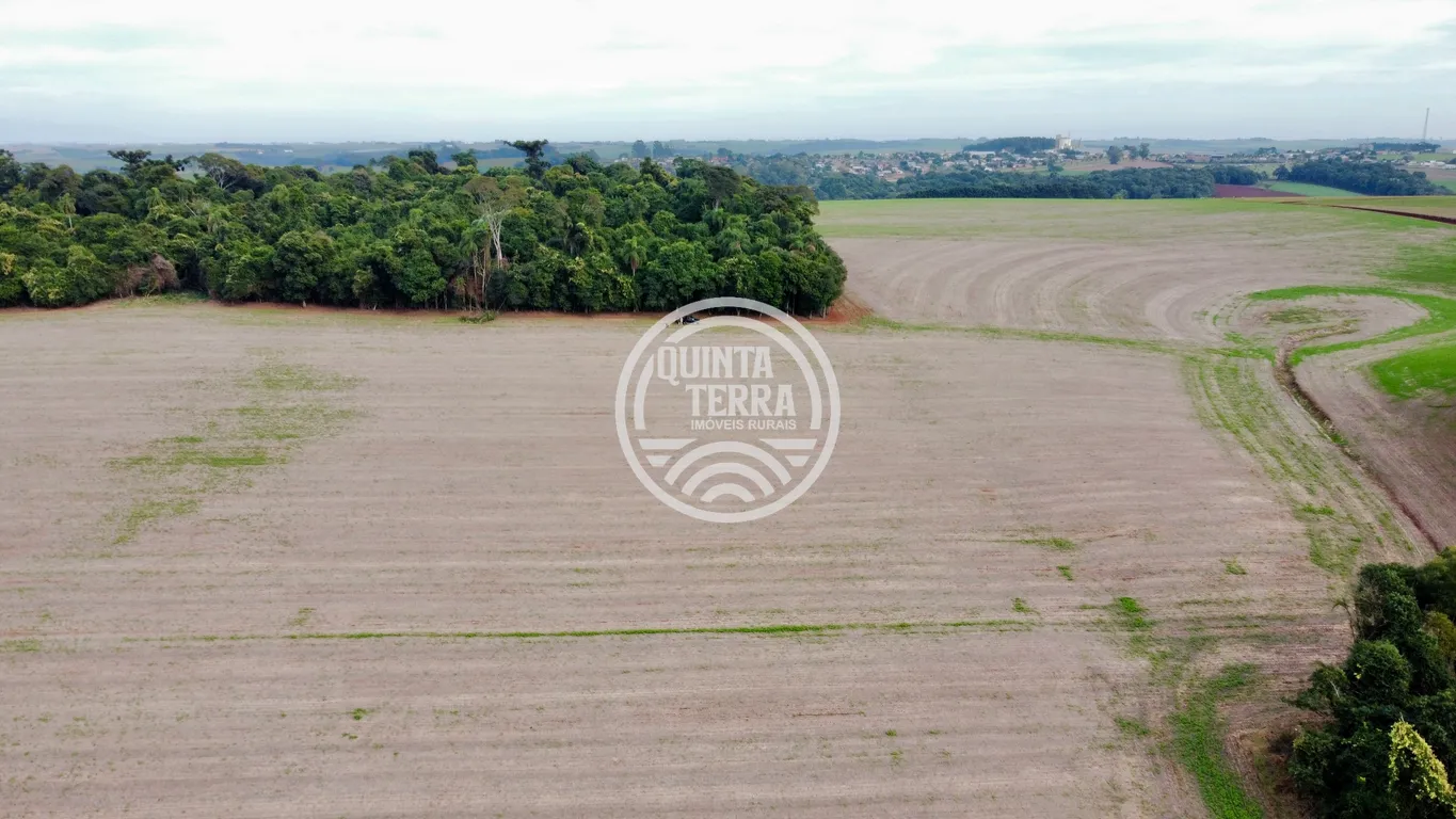 Área à Venda com 43ha - foto 5