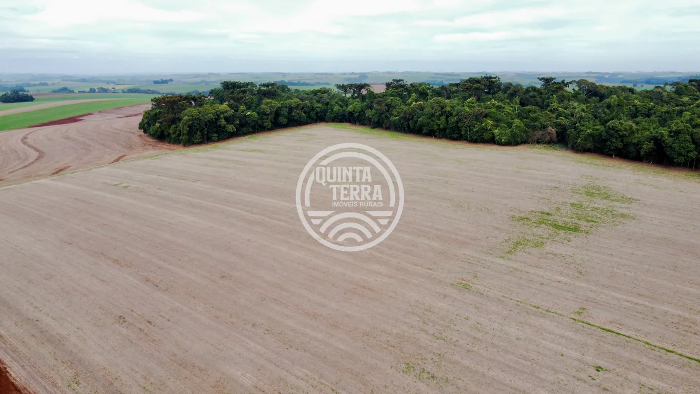 Área à Venda com 43ha - foto 6