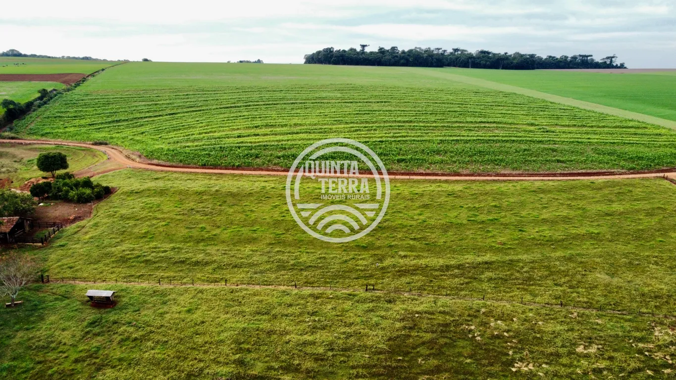 Área à Venda com 43ha - foto 11