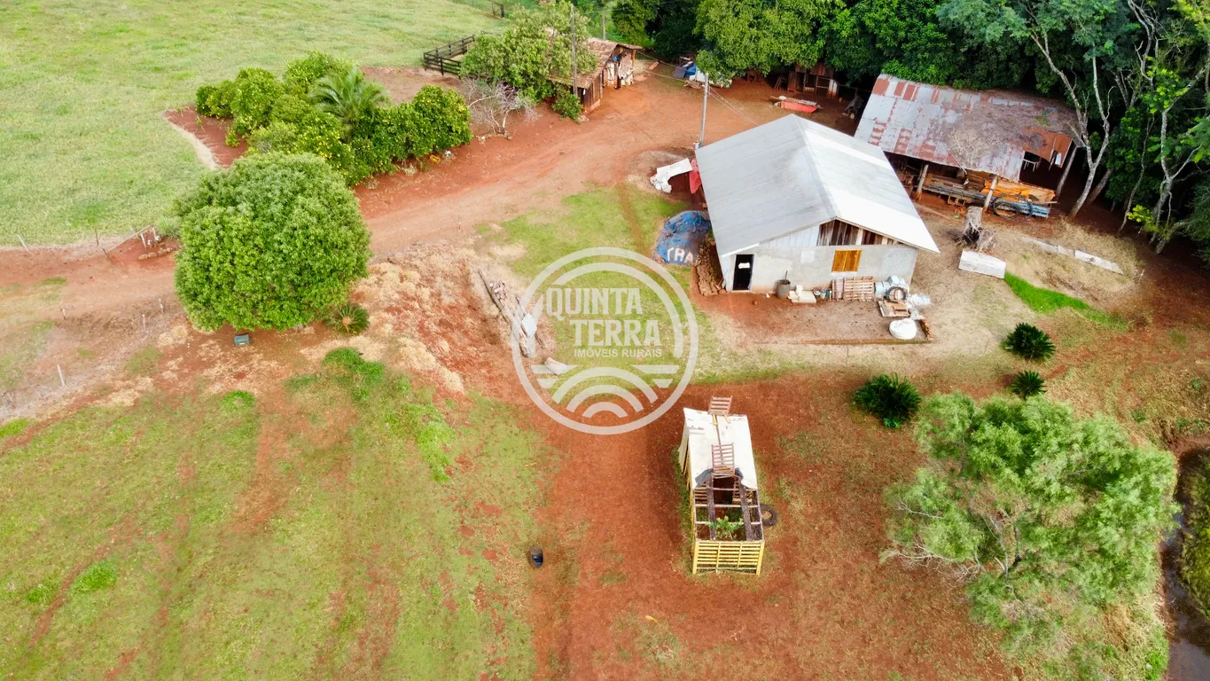 Área à Venda com 43ha - foto 13