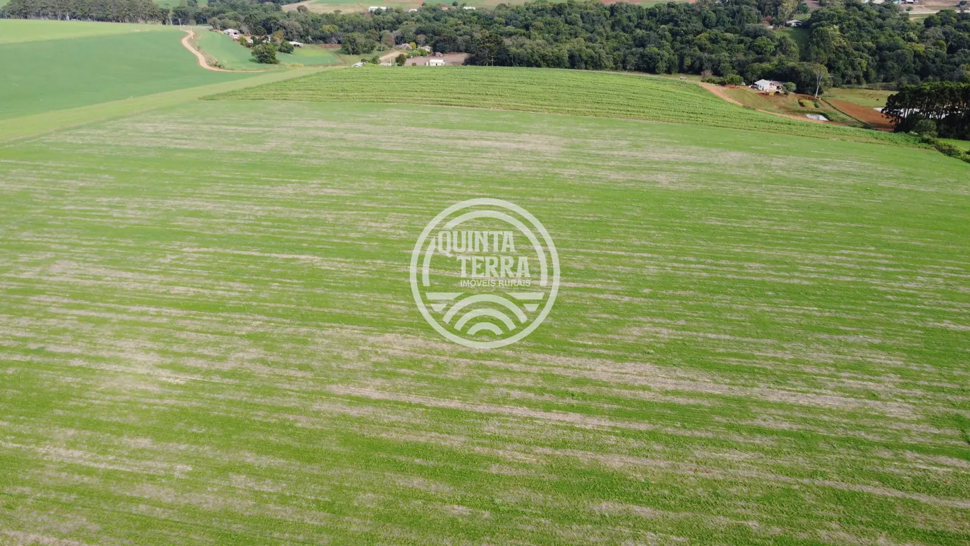 Área à Venda com 43ha - foto 16