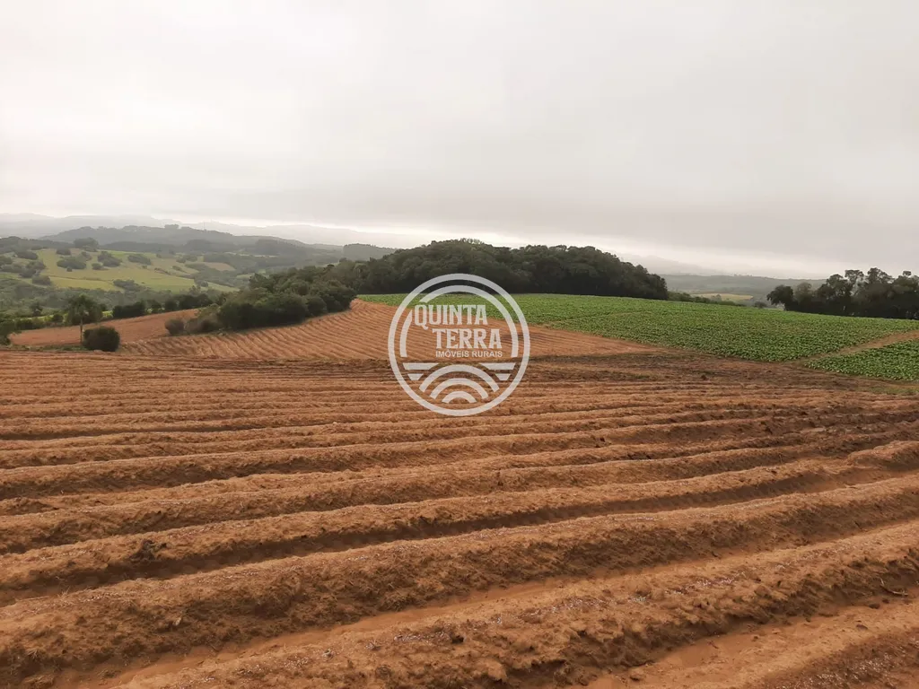 Área à Venda com 12ha - foto 2
