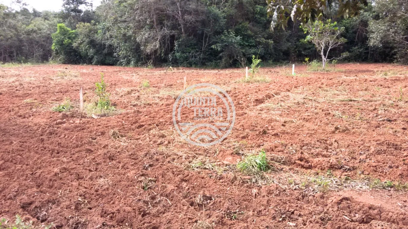 Área à Venda com 563ha - foto 2