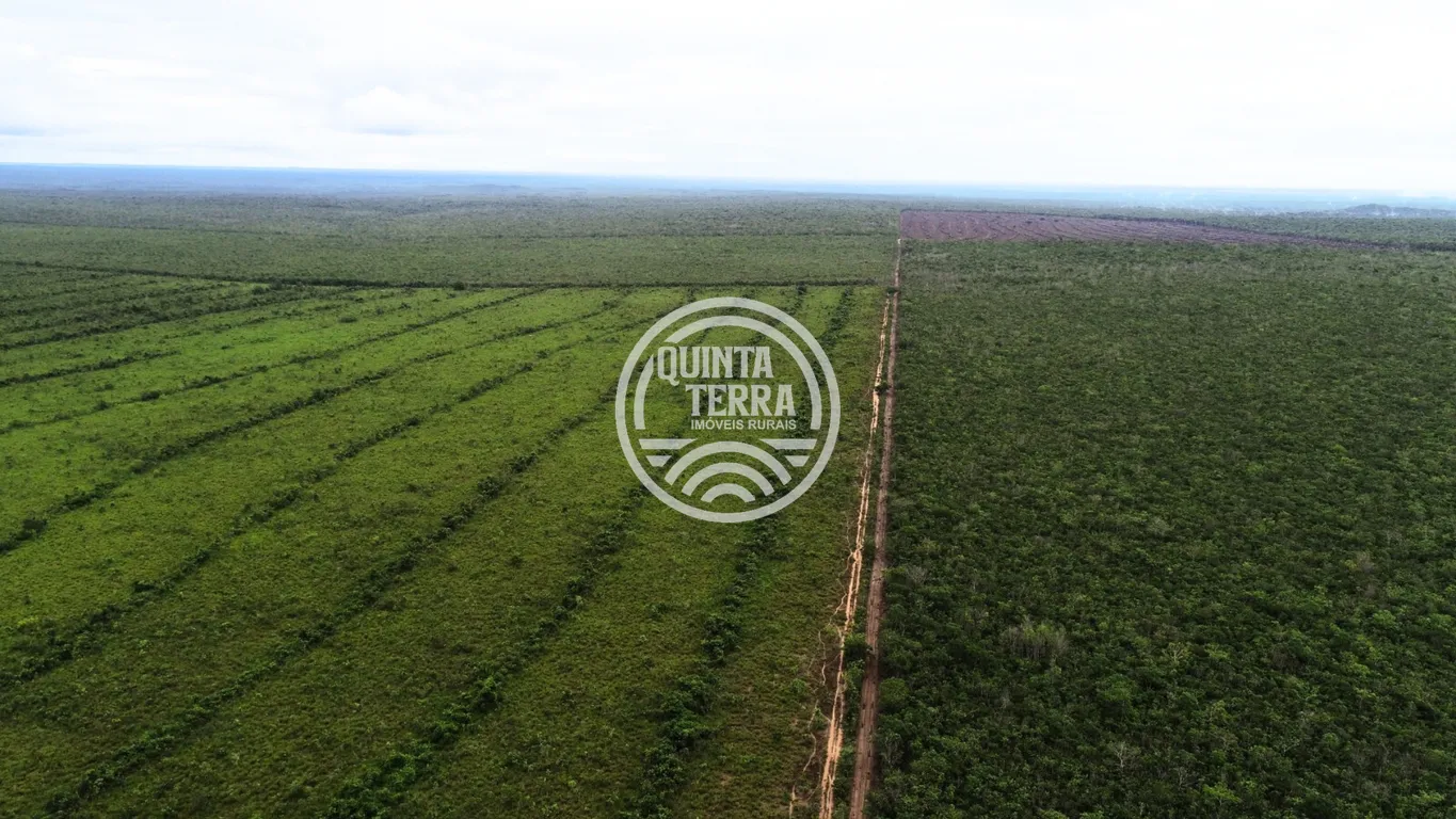 Área à Venda com 563ha - foto 11