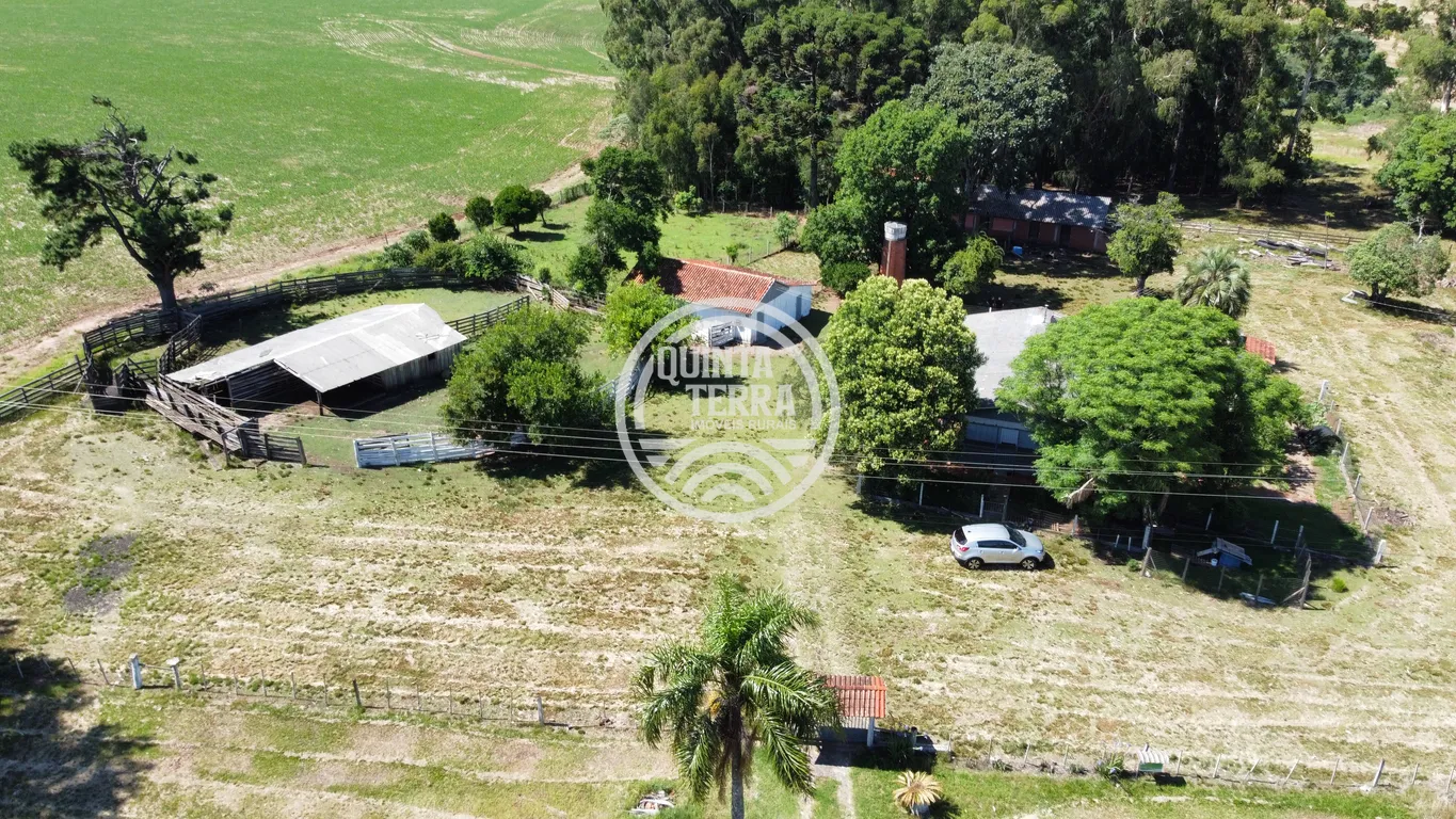Área à Venda com 6ha - foto 5