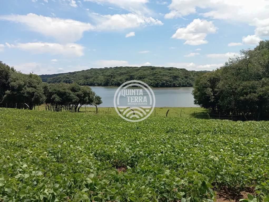 Chácara à Venda com 1133m² - foto 8
