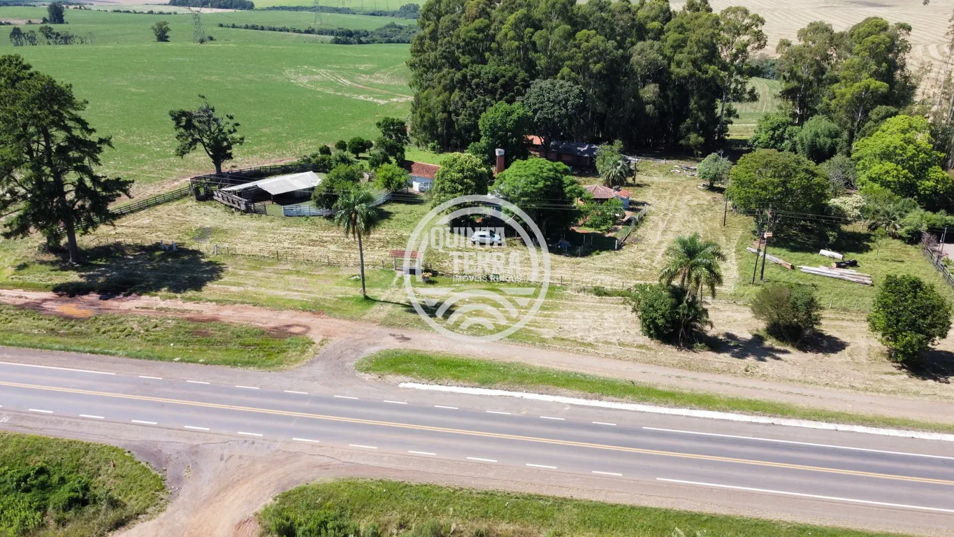 Área à Venda com 6ha - foto 3