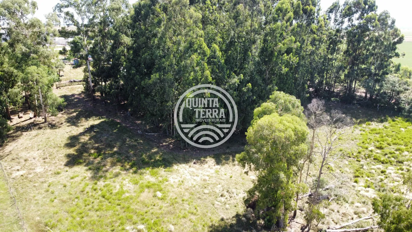 Área à Venda com 6ha - foto 11