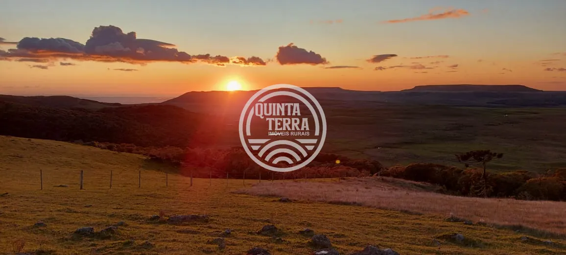 Área à Venda com 20ha - foto 8