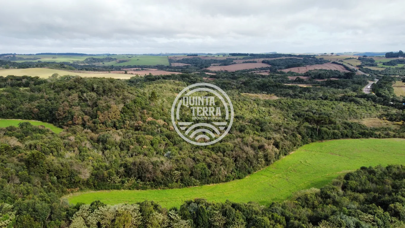 Área à Venda com 48ha - foto 2