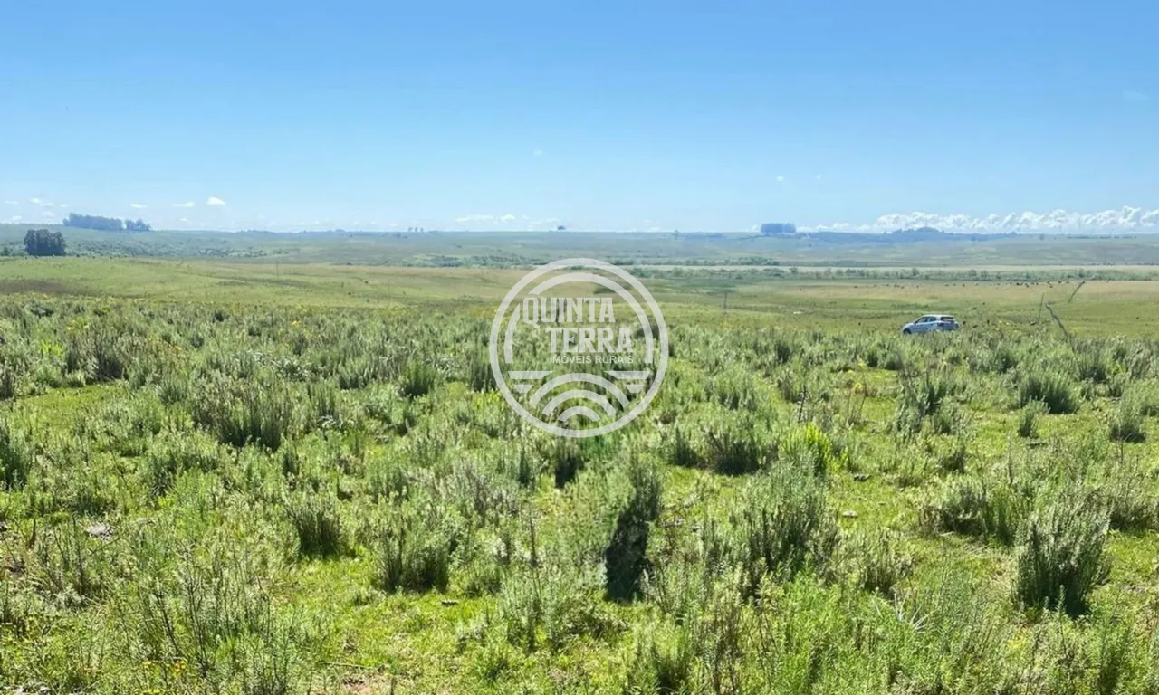 Área à Venda com 110ha - foto 4