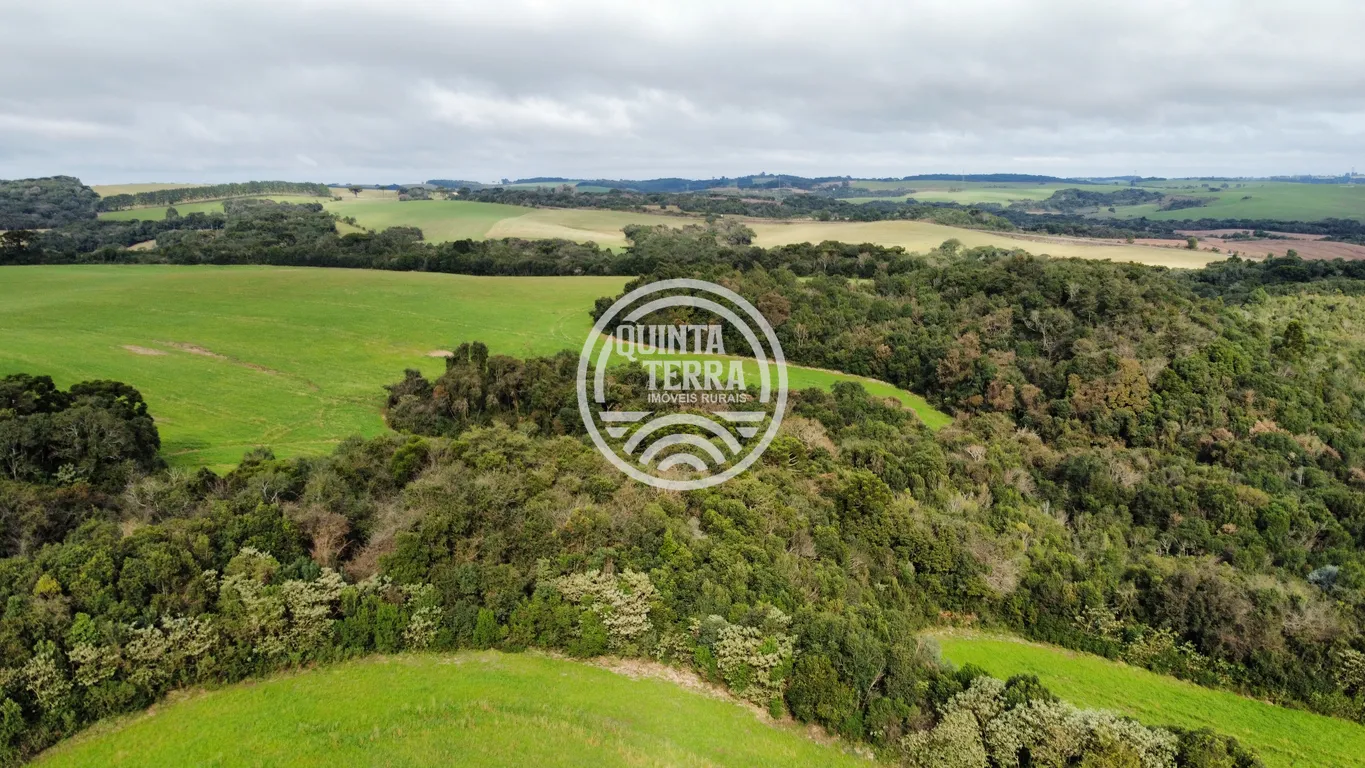 Área à Venda com 48ha - foto 1