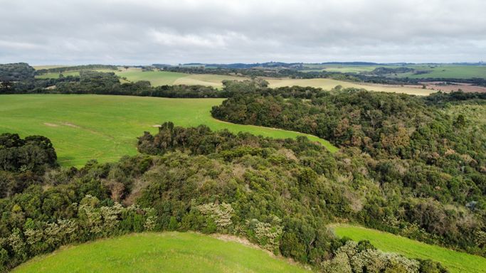 Área à Venda com 48ha Rio Grande do Sul, Ciríaco-RS