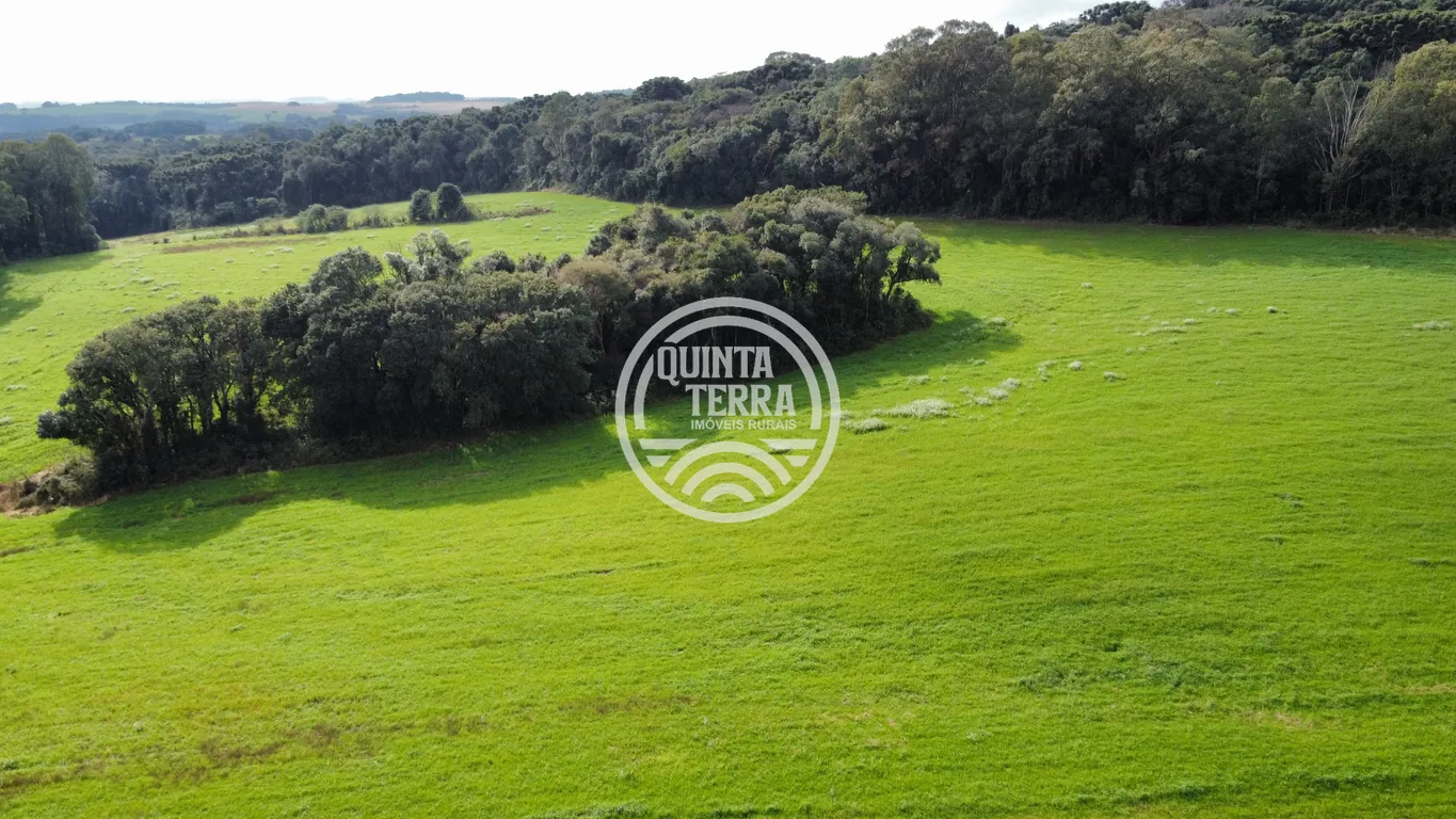 Área à Venda com 48ha - foto 4