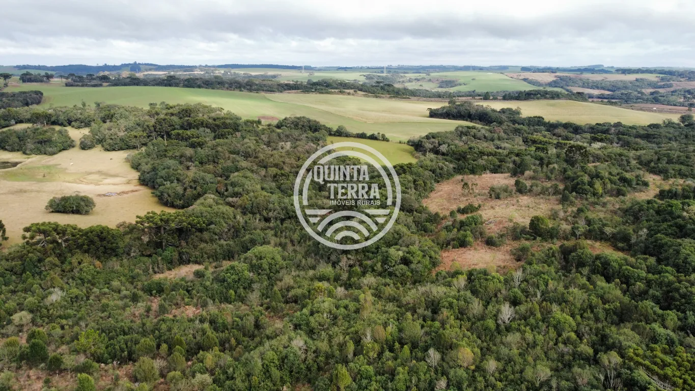 Área à Venda com 48ha - foto 7