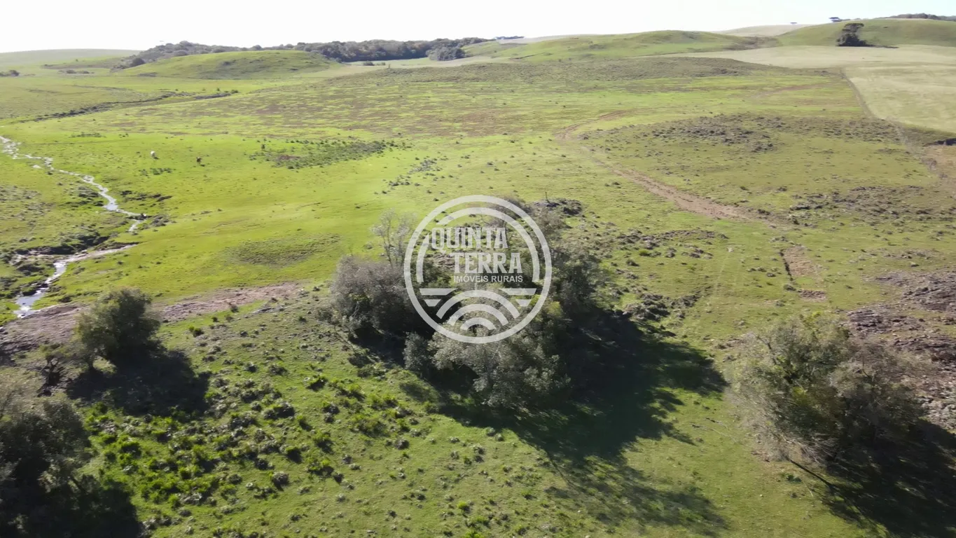 Área à Venda com 57ha - foto 4