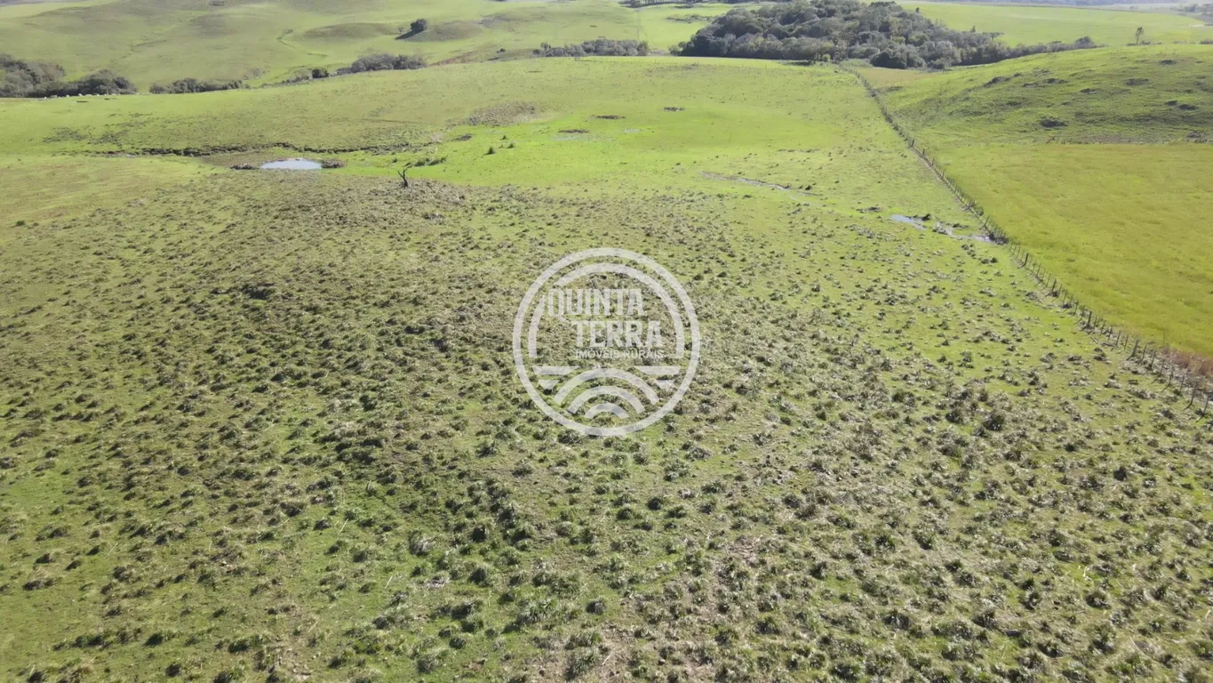 Área à Venda com 57ha - foto 8