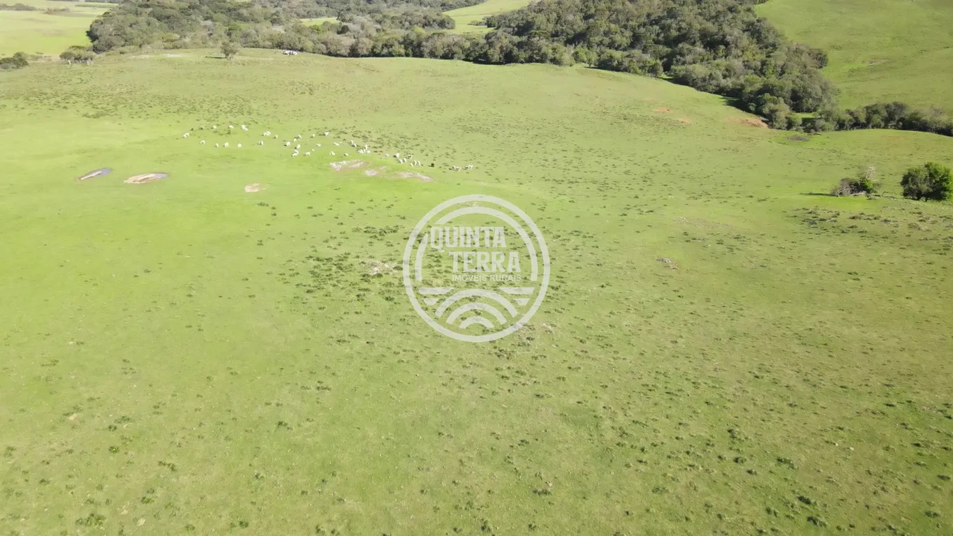 Área à Venda com 57ha - foto 10