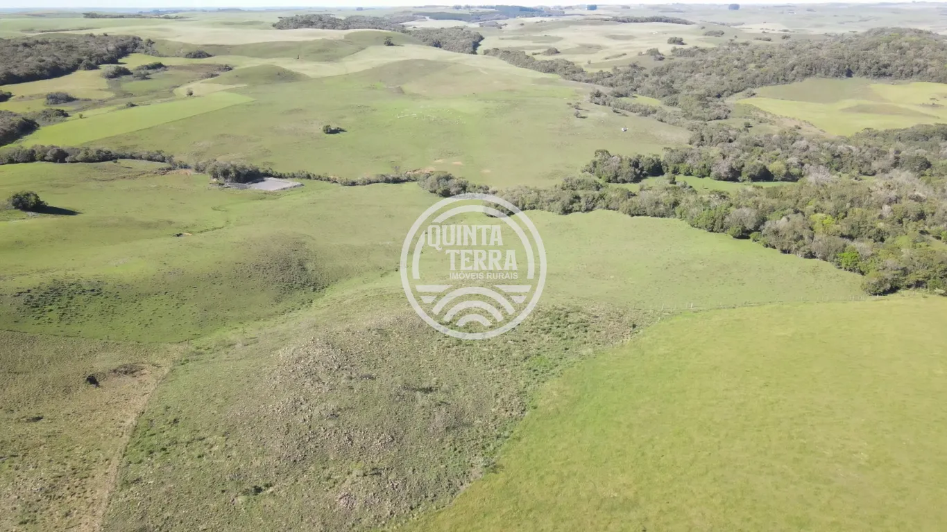 Área à Venda com 57ha - foto 12