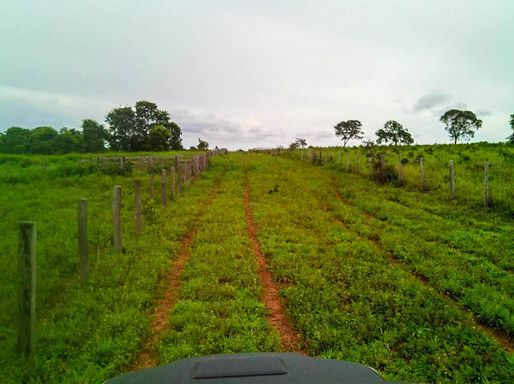 Fazenda à Venda com 10000ha Paranatinga, s/n - Fazenda, Paranatinga-MT