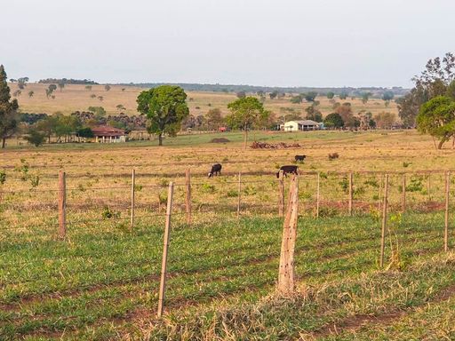 Fazenda à Venda com 641ha Área Rural, s/n - Fazenda, Campo Grande-MS