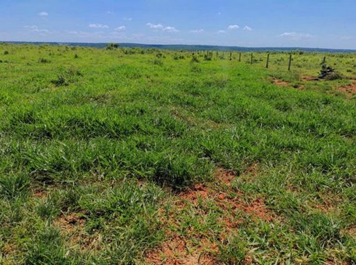 Fazenda à Venda com 1134ha Santa Rita do Pardo, s/n - Fazenda, Santa Rita do Pardo-MS