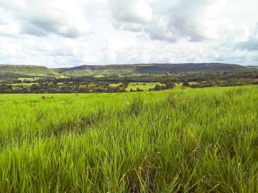 Fazenda à Venda Brasilândia, s/n - Fazenda, Brasilândia-MS