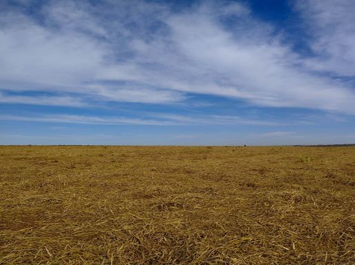 Fazenda à Venda Itaquiraí, s/n - Fazenda, Itaquiraí-MS