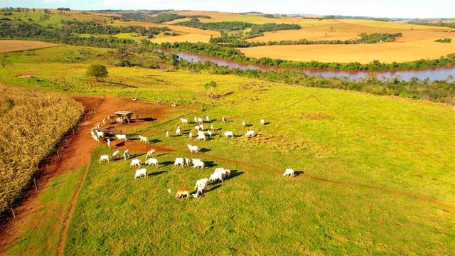 Fazenda à Venda com 55 alq. paulista Nova Aurora, s/n - Fazenda, Nova Aurora-PR