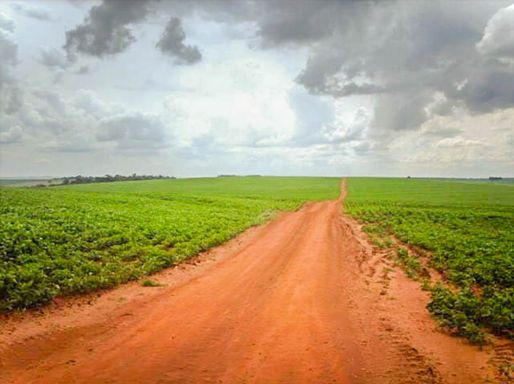 Fazenda à Venda com 400 alq. paulista FAZENDA, s/n - Fazenda, Campo Mourão-PR