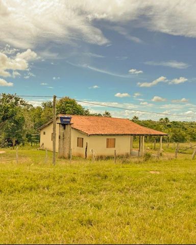 Fazenda à Venda com 1412ha AVENIDA MOISES ARAUJO GALVÃO 592, s/n - Fazenda, Figueirão-MS