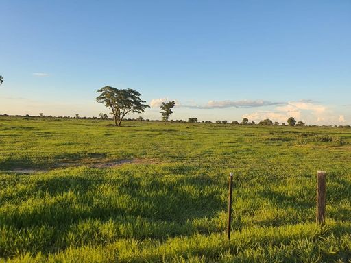 Fazenda à Venda com 15000ha RIO NEGRO, s/n - Rio Negro, Rio Negro-MS
