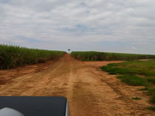 Fazenda à Venda Não informado, s/n - Fazenda, Inocência-MS