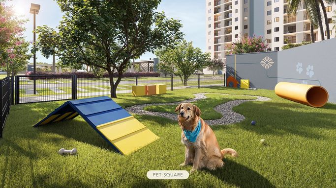 Pet Place