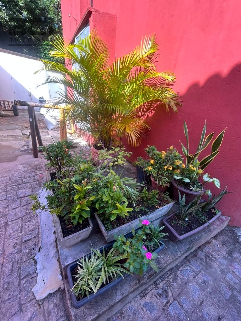 Sala-Conjunto, 38 m² - Foto 24