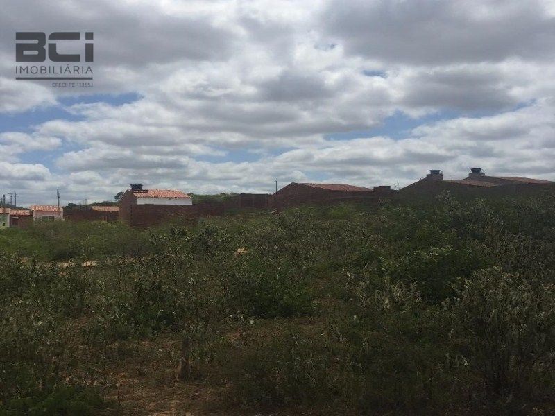 Terreno, 12000 m² - Foto 9