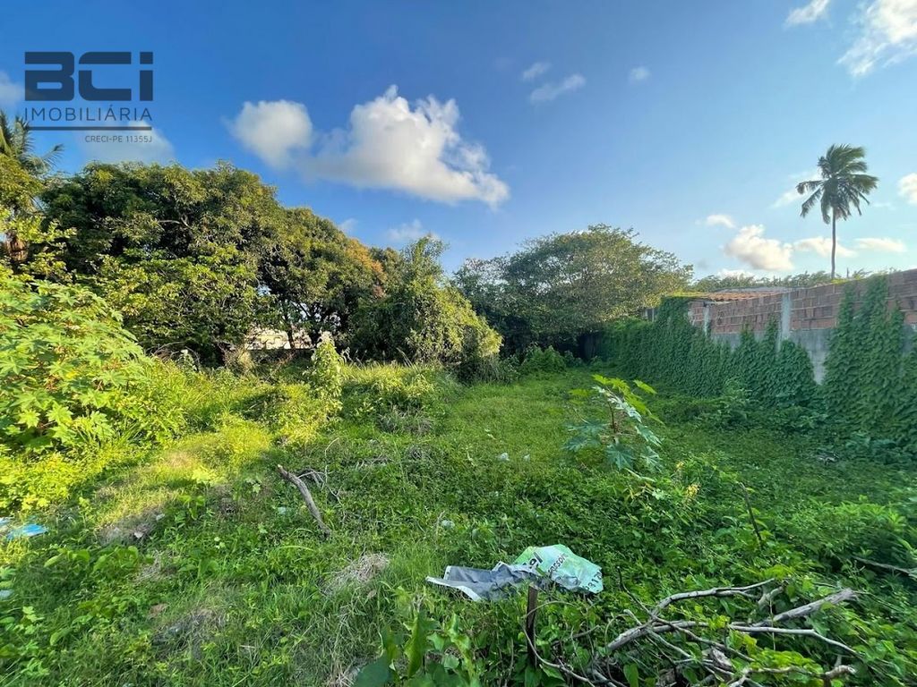 Casa, 3 quartos, 3270 m² - Foto 24