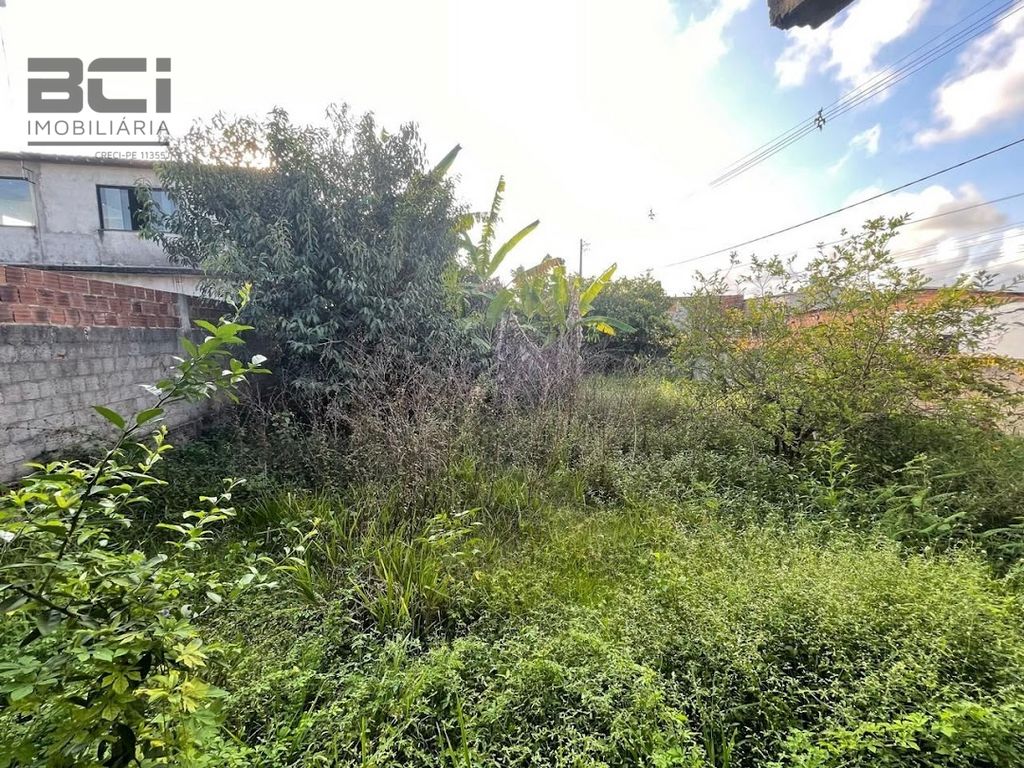 Casa, 3 quartos, 3270 m² - Foto 16