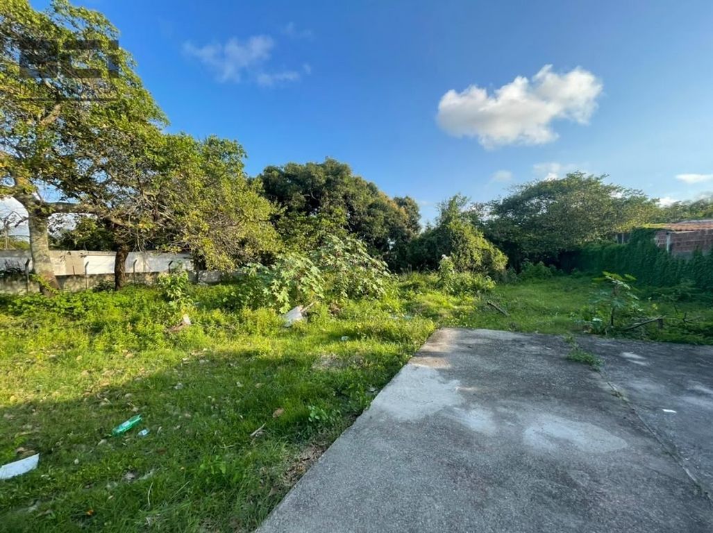 Casa, 3 quartos, 3270 m² - Foto 25