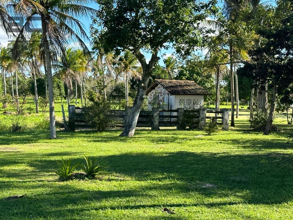 Chácara, 4 quartos - Foto 18